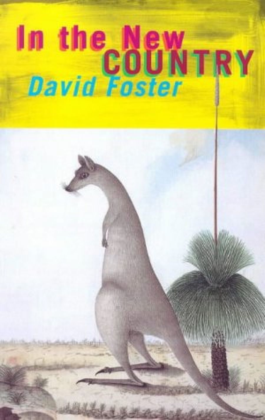 Susan Lever reviews In the New Country and Studs and Nogs by David Foster