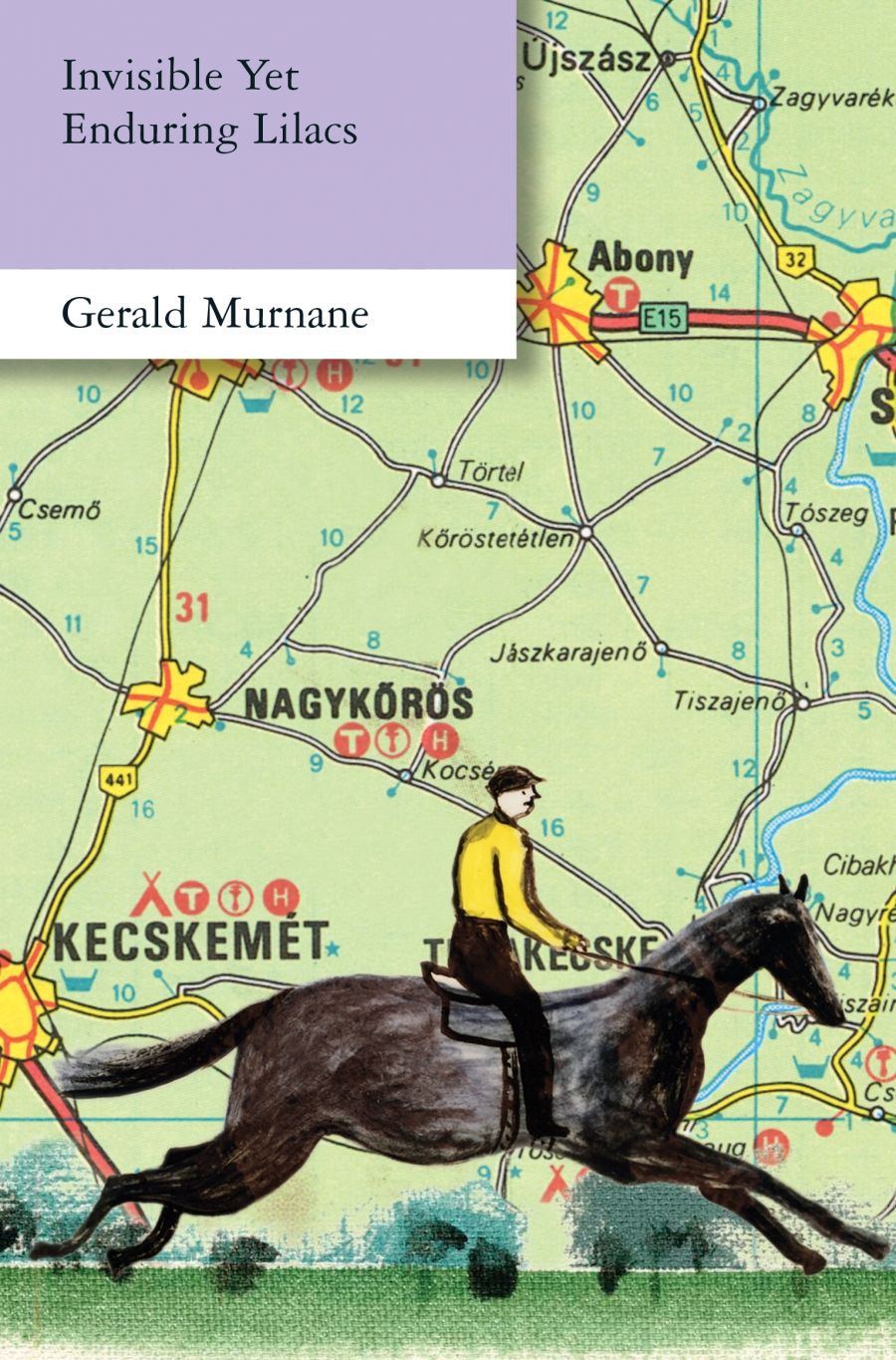 Michelle Griffin reviews Invisible Yet Enduring Lilacs by Gerald Murnane and Literati by James Phelan