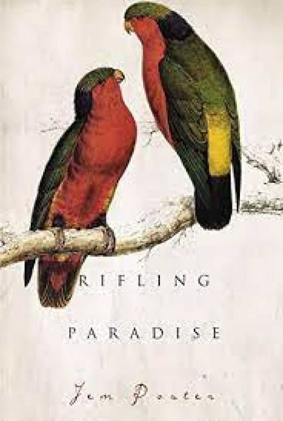 Nick Drayson reviews Rifling Paradise by Jem Poster