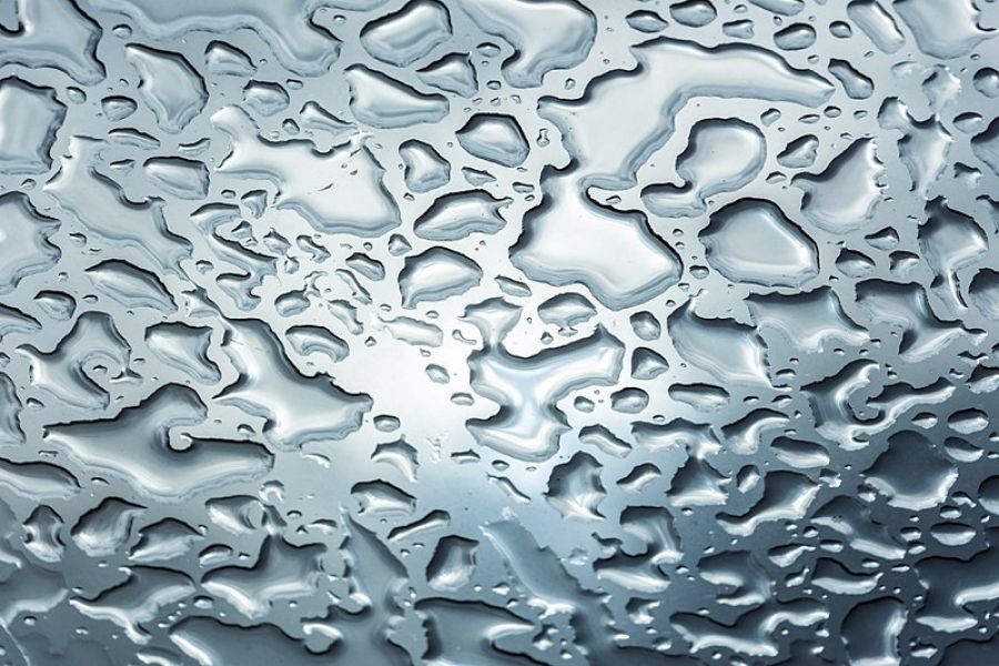 Rain a poem by Judith Beveridge