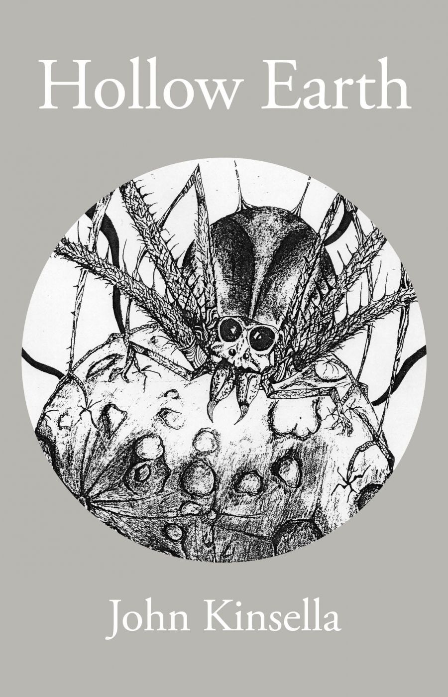 Chris Flynn reviews Hollow Earth by John Kinsella