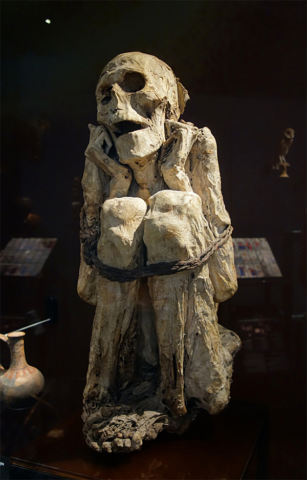 Chacapoya mummy at the Museum of Mankind (photograph by Velvet via Wikimedia Commons)
