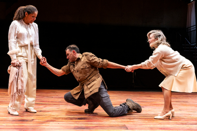 ‘Coriolanus: Bell Shakespeare pursues the personal realm’ by David Rowland