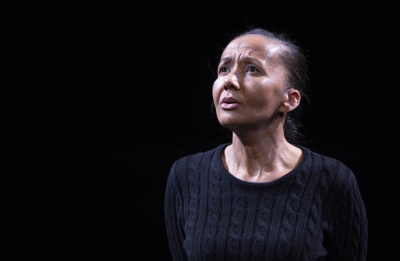 ‘The Birds: A contemporary interpretation of Daphne du Maurier’s post-war story’ by Diane Stubbings