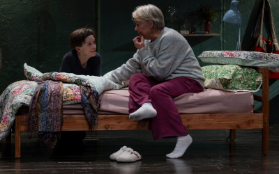 ‘The Spare Room: Helen Garner’s address to the messy chaos of existence’ by Ian Dickson